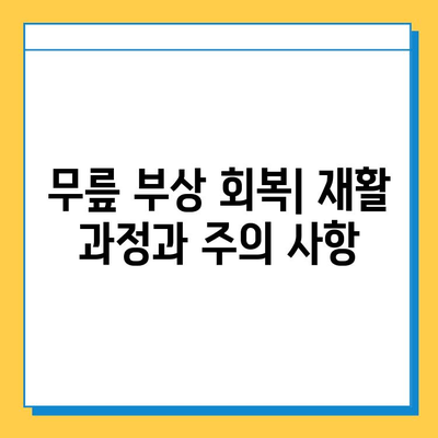 반월상 연골 파열 vs 십자인대 파열| 치료법과 회복 과정 비교 가이드 | 무릎 부상, 운동, 재활