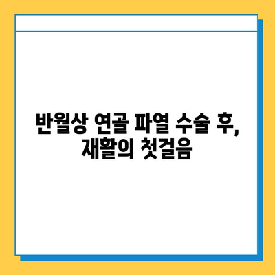 반월상 연골 파열 복합 수술 후 성공적인 재활| 단계별 가이드 | 재활 운동, 회복 기간, 전문가 조언