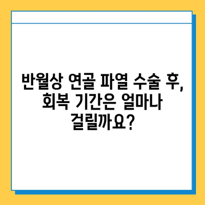 반월상 연골 파열 복합 수술 후 성공적인 재활| 단계별 가이드 | 재활 운동, 회복 기간, 전문가 조언