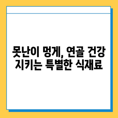 "못난이 멍게"의 놀라운 효능| 연골 건강을 위한 특별한 선택 | 멍게, 연골 건강, 관절 건강, 건강 정보, 천연 건강 식품