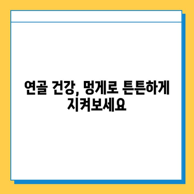 "못난이 멍게"의 놀라운 효능| 연골 건강을 위한 특별한 선택 | 멍게, 연골 건강, 관절 건강, 건강 정보, 천연 건강 식품