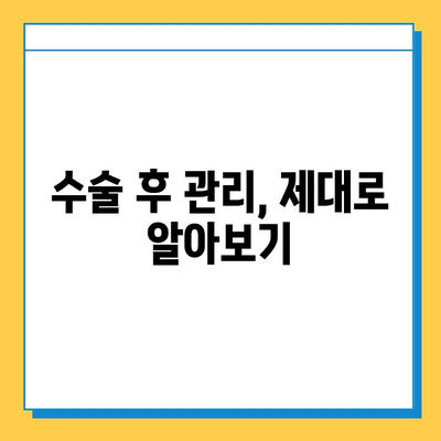 무릎 연골 파열 수술, 비용 부담 줄이는 가이드 | 무릎 연골 파열, 수술 비용, 보험 적용, 병원 추천, 정보