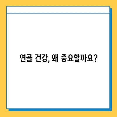 연골 건강, 현명한 선택이 중요합니다| 연골 영양제 선택 가이드 | 연골 건강, 관절 건강, 영양제 추천