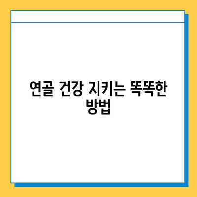 연골 건강, 현명한 선택이 중요합니다| 연골 영양제 선택 가이드 | 연골 건강, 관절 건강, 영양제 추천