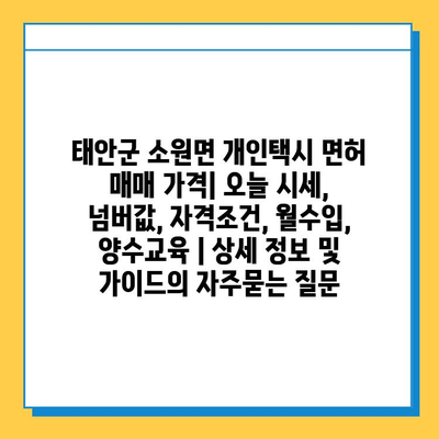 태안군 소원면 개인택시 면허 매매 가격| 오늘 시세, 넘버값, 자격조건, 월수입, 양수교육 | 상세 정보 및 가이드