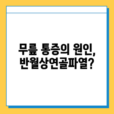 반월상연골파열, 증상부터 수술 후 재활까지 완벽 가이드 |  무릎 통증, 운동 제한, 재활 운동