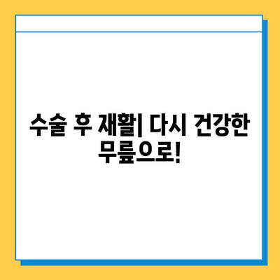 반월상연골파열, 증상부터 수술 후 재활까지 완벽 가이드 |  무릎 통증, 운동 제한, 재활 운동