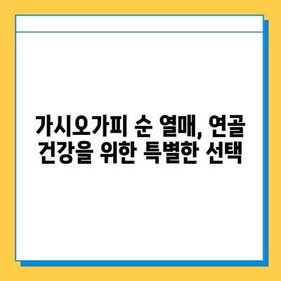 가시오가피 순 열매| 연골 건강 지키는 복합 관리의 비밀 | 가시오가피, 연골 건강, 관절 관리, 건강 정보