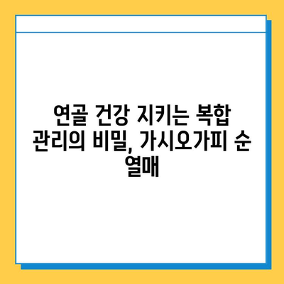 가시오가피 순 열매| 연골 건강 지키는 복합 관리의 비밀 | 가시오가피, 연골 건강, 관절 관리, 건강 정보