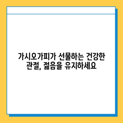 가시오가피 순 열매| 연골 건강 지키는 복합 관리의 비밀 | 가시오가피, 연골 건강, 관절 관리, 건강 정보