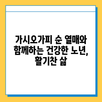 가시오가피 순 열매| 연골 건강 지키는 복합 관리의 비밀 | 가시오가피, 연골 건강, 관절 관리, 건강 정보