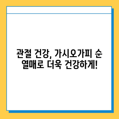 가시오가피 순 열매| 연골 건강 지키는 복합 관리의 비밀 | 가시오가피, 연골 건강, 관절 관리, 건강 정보