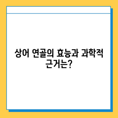 상어 연골, 관절 염증 완화에 효과 있을까? | 상어 연골 효능, 부작용, 주의사항, 관절 건강