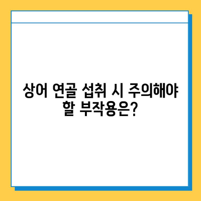 상어 연골, 관절 염증 완화에 효과 있을까? | 상어 연골 효능, 부작용, 주의사항, 관절 건강