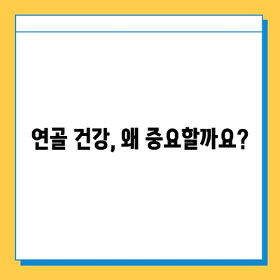 관절 건강 지키는 현명한 선택| 연골 영양제의 중요성과 효과적인 활용법 | 관절 건강, 연골, 영양제, 건강 관리, 팁