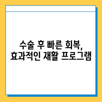 연골 임플란트| 통증 없는 삶, 나에게 맞는 선택은? | 연골 임플란트 종류, 수술 과정, 재활, 후기