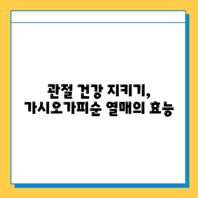 가시오가피순 열매| 연골 건강을 위한 복합 관리의 중요성 | 관절 건강, 연골 재생, 자연 성분