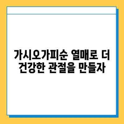 가시오가피순 열매| 연골 건강을 위한 복합 관리의 중요성 | 관절 건강, 연골 재생, 자연 성분