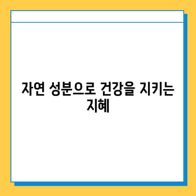 가시오가피순 열매| 연골 건강을 위한 복합 관리의 중요성 | 관절 건강, 연골 재생, 자연 성분