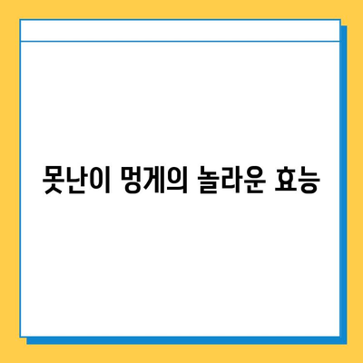 못난이 멍게, 연골 건강 지키는 영양 챔피언 | 멍게 효능, 연골 강화, 콜라겐, 관절 건강