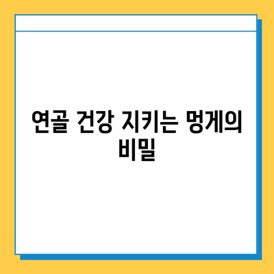 못난이 멍게, 연골 건강 지키는 영양 챔피언 | 멍게 효능, 연골 강화, 콜라겐, 관절 건강