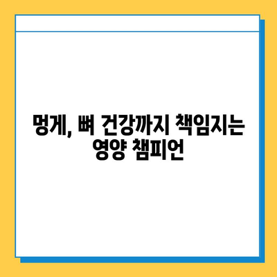 못난이 멍게, 연골 건강 지키는 영양 챔피언 | 멍게 효능, 연골 강화, 콜라겐, 관절 건강