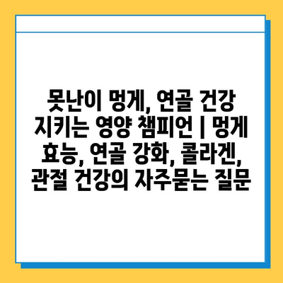 못난이 멍게, 연골 건강 지키는 영양 챔피언 | 멍게 효능, 연골 강화, 콜라겐, 관절 건강