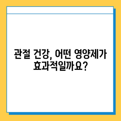 관절 연골 영양제 선택 가이드| 효과적인 제품 비교 분석 | 관절 건강, 연골 재생, 영양제 추천