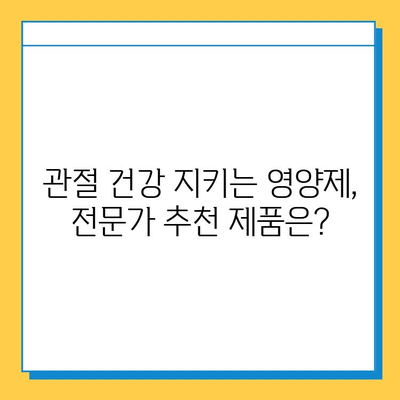 관절 연골 영양제 선택 가이드| 효과적인 제품 비교 분석 | 관절 건강, 연골 재생, 영양제 추천