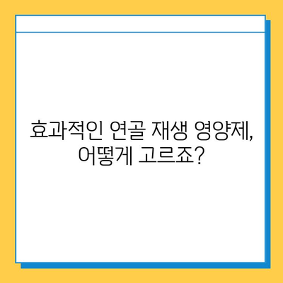 연골 재생 영양제 선택 가이드| 단 3가지 이유로 효과적인 제품 찾기 | 연골 건강, 관절 통증, 영양제 추천