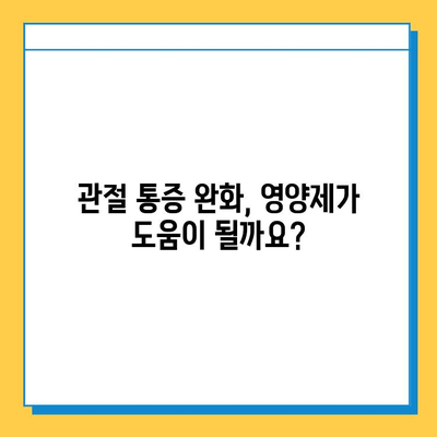 연골 재생 영양제 선택 가이드| 단 3가지 이유로 효과적인 제품 찾기 | 연골 건강, 관절 통증, 영양제 추천