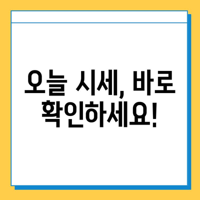 제주도 제주시 노형동 개인택시 면허 매매 가격| 오늘 시세 확인! | 번호판, 넘버값, 자격조건, 월수입, 양수교육