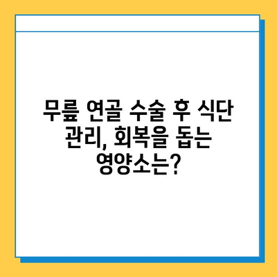 무릎 연골 주사 & 수술 후 관리| 빠르고 안전한 회복을 위한 필수 가이드 | 재활, 운동, 식단, 주의사항