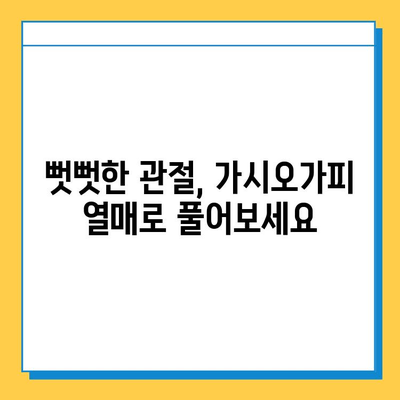 가시오가피 열매 효능| 관절 건강 위한 복합 관리의 지혜 | 관절 통증, 연골 건강, 면역력 강화, 자연 건강법