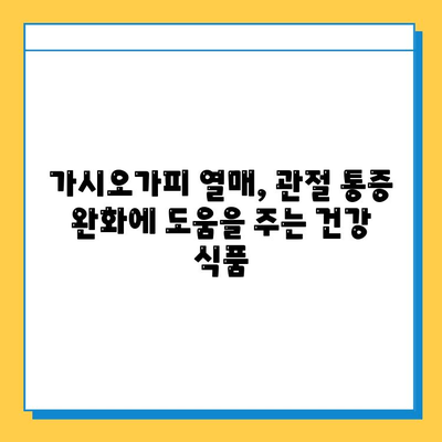 가시오가피 열매 효능| 관절 건강 위한 복합 관리의 지혜 | 관절 통증, 연골 건강, 면역력 강화, 자연 건강법