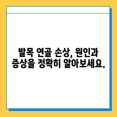 발목 연골 통증, 이제 걱정하지 마세요| 실용적인 관리 팁과 조언 | 발목 통증, 연골 손상, 운동, 재활, 치료, 예방