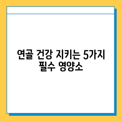 연골 건강, 모른 체하면 큰일! 꼭 챙겨야 할 연골 강화 영양소 5가지 | 연골, 관절 건강, 영양소, 건강 정보, 팁