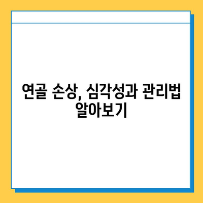 연골 손상, 얼마나 심각한가요? | 증상, 원인, 치료, 예방