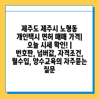 제주도 제주시 노형동 개인택시 면허 매매 가격| 오늘 시세 확인! | 번호판, 넘버값, 자격조건, 월수입, 양수교육