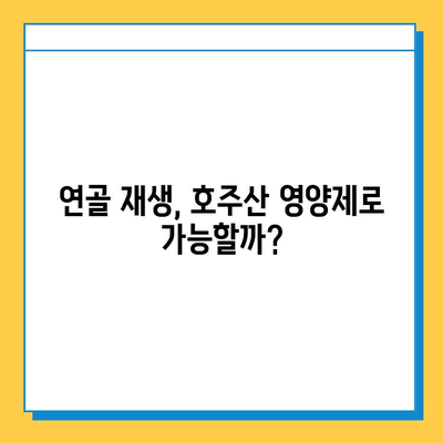 호주산 관절연골영양제 후기| 콘드로이친의 효과, 실제 사용 후기 공개 | 관절 건강, 연골 재생, 호주 직구, 건강 식품