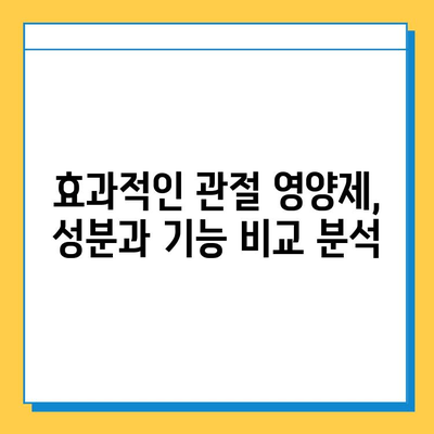 부모님 건강 선물, 효과적인 관절 영양제 추천 가이드 | 부모님 선물, 관절 건강, 영양제 추천, 효능 비교