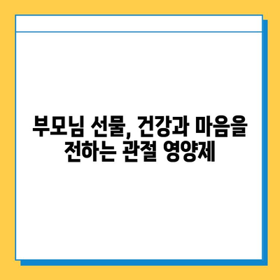 부모님 건강 선물, 효과적인 관절 영양제 추천 가이드 | 부모님 선물, 관절 건강, 영양제 추천, 효능 비교