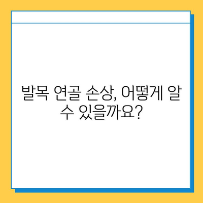 발목 연골 관리법으로 발목 통증 해결하기| 통증 완화 및 재활 운동 가이드 | 발목 통증, 연골 재생, 운동법