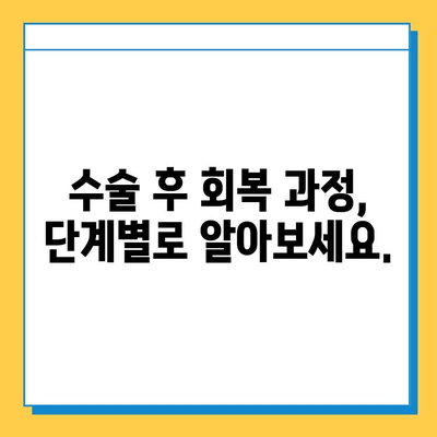 삼각섬유연골복합체 손상 수술 치료| 완벽 가이드 | 회복 과정, 재활 운동, 주의 사항