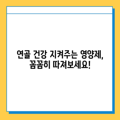 부모님 건강 선물, 관절 연골 영양제 추천 가이드 | 부모님 선물, 관절 건강, 연골 건강, 영양제 추천