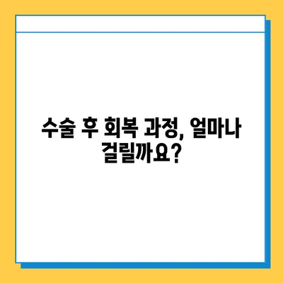 반월상연골파열 수술, 언제 하는 게 좋을까요? | 적기 선정 가이드, 수술 필요성, 회복 과정