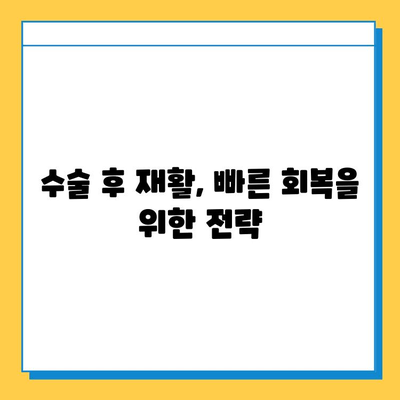 반월상연골파열 수술, 언제 하는 게 좋을까요? | 적기 선정 가이드, 수술 필요성, 회복 과정