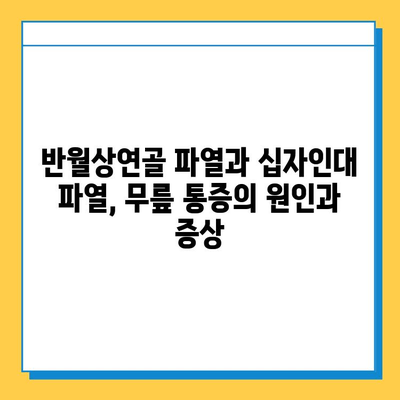 반월상연골 파열과 십자인대 파열, 효과적인 치료법 비교 분석 |  무릎 통증, 재활, 수술, 운동