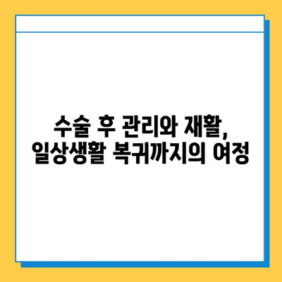 반월상연골 파열과 십자인대 파열, 효과적인 치료법 비교 분석 |  무릎 통증, 재활, 수술, 운동