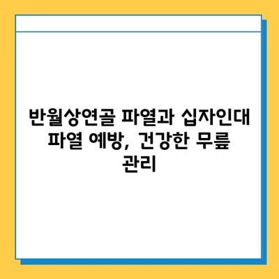 반월상연골 파열과 십자인대 파열, 효과적인 치료법 비교 분석 |  무릎 통증, 재활, 수술, 운동